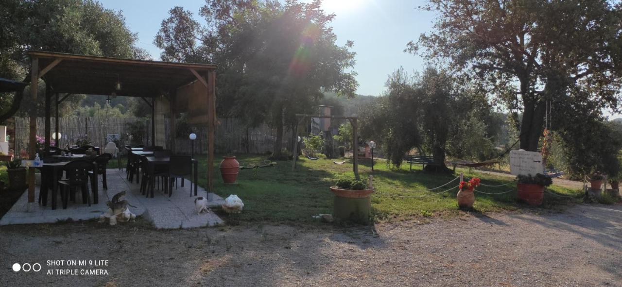 Agriturismo Poggio All'Olivo 폴로니카 외부 사진