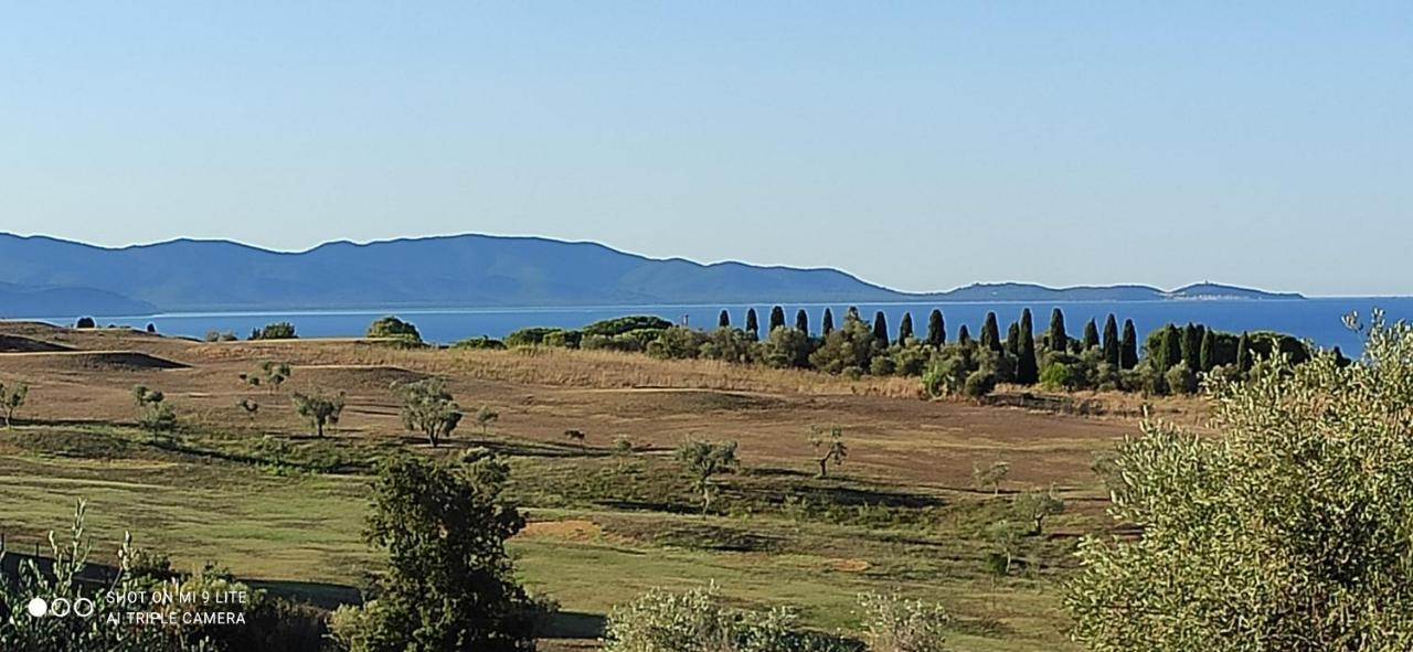 Agriturismo Poggio All'Olivo 폴로니카 외부 사진