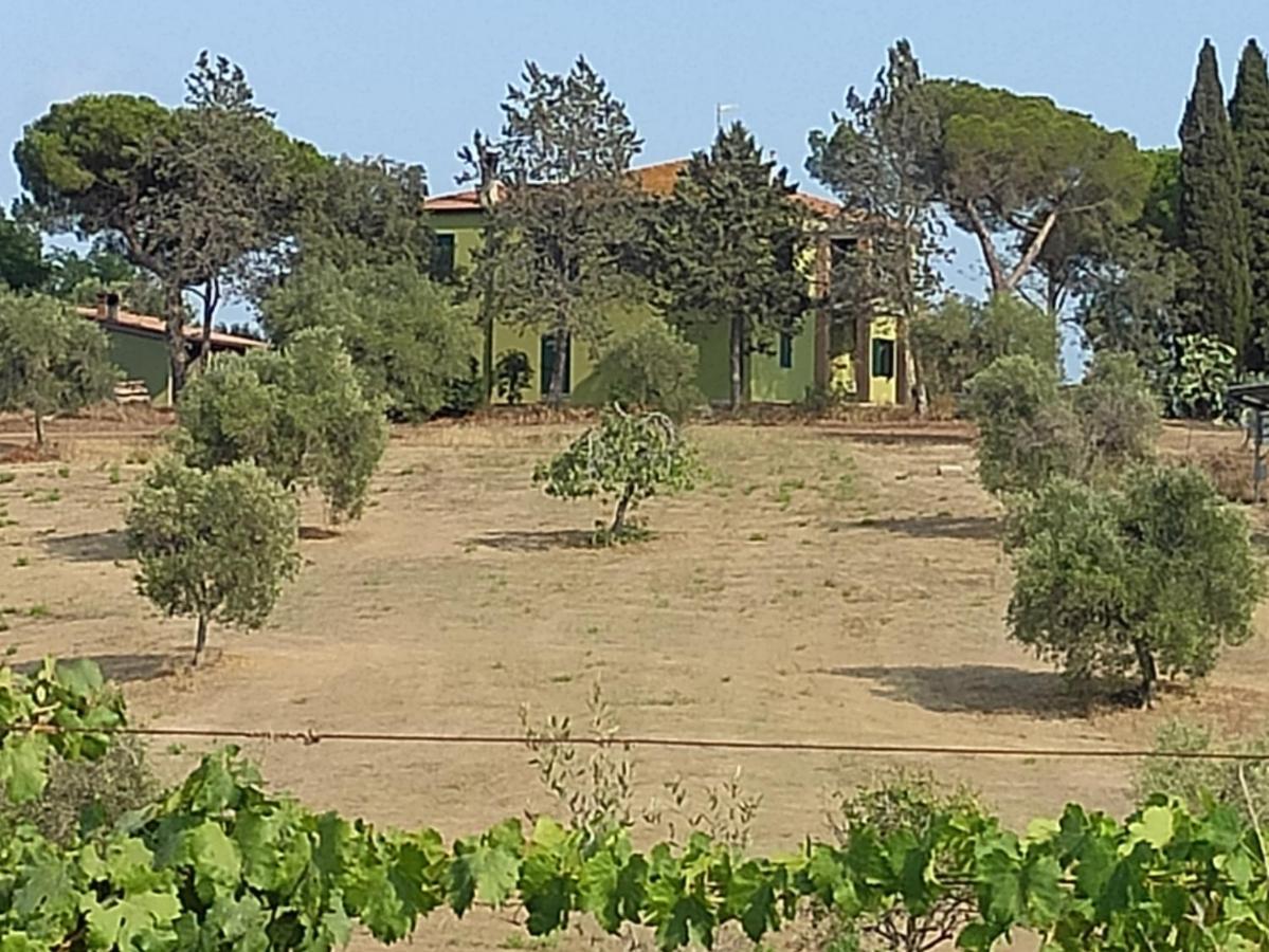 Agriturismo Poggio All'Olivo 폴로니카 외부 사진