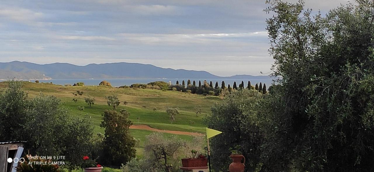 Agriturismo Poggio All'Olivo 폴로니카 외부 사진