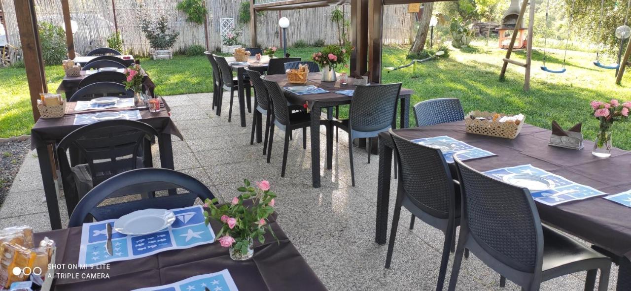 Agriturismo Poggio All'Olivo 폴로니카 외부 사진