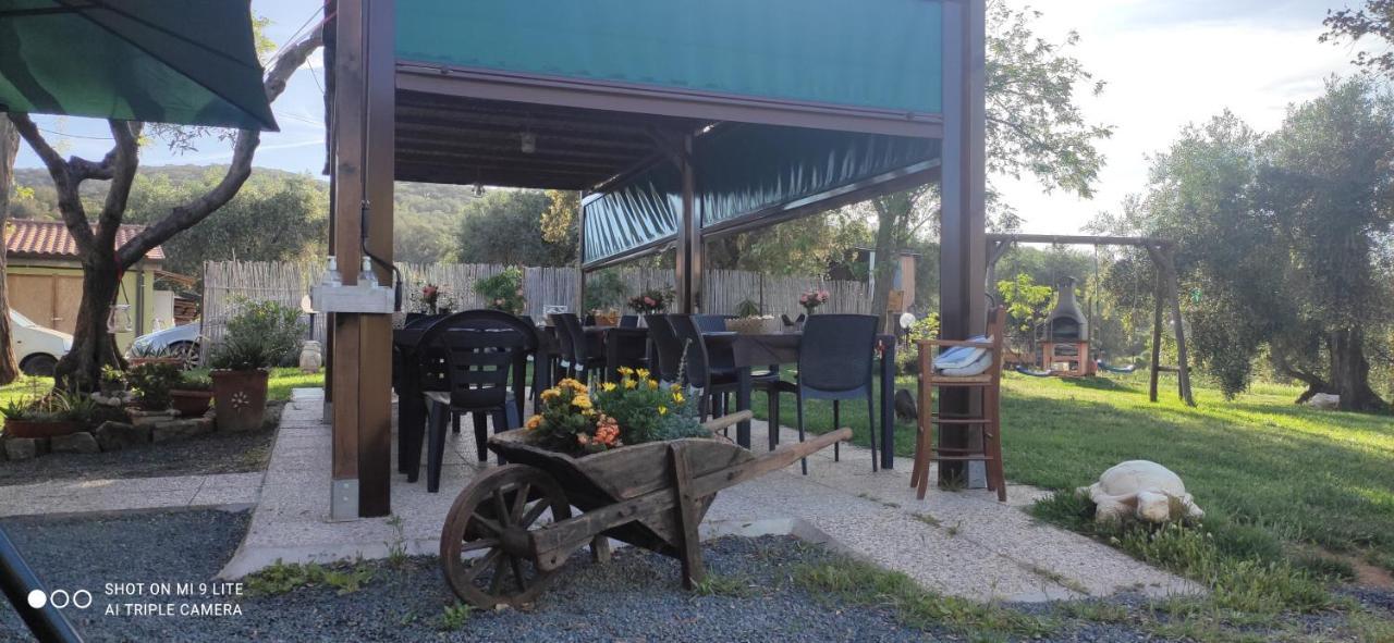 Agriturismo Poggio All'Olivo 폴로니카 외부 사진