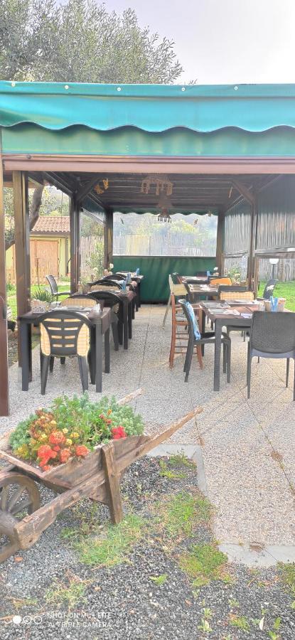 Agriturismo Poggio All'Olivo 폴로니카 외부 사진
