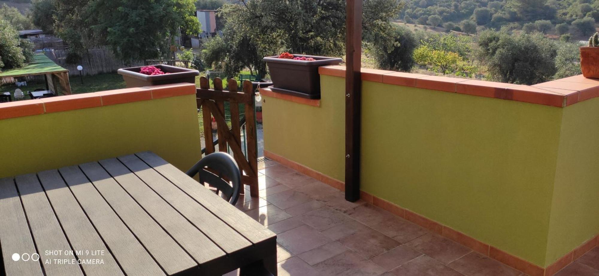 Agriturismo Poggio All'Olivo 폴로니카 객실 사진