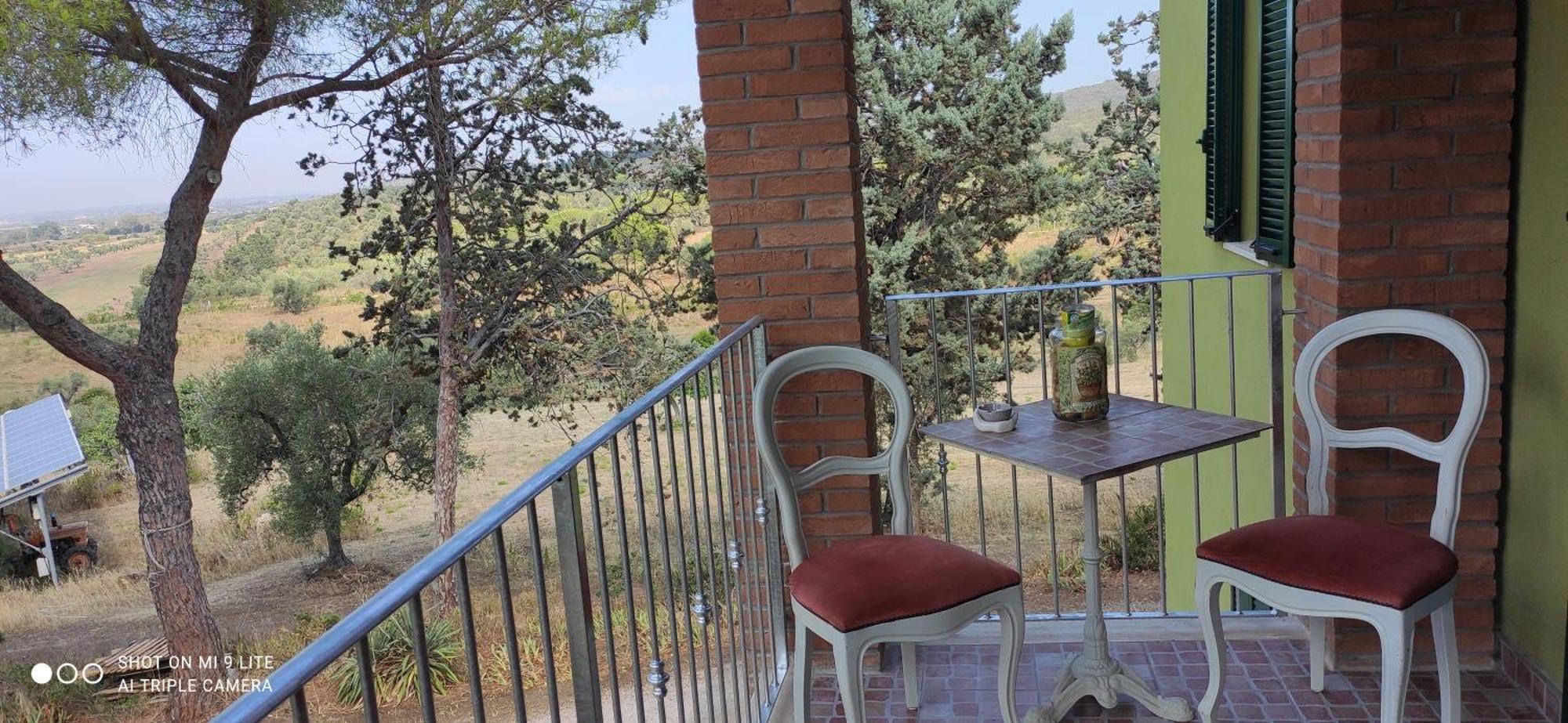 Agriturismo Poggio All'Olivo 폴로니카 객실 사진