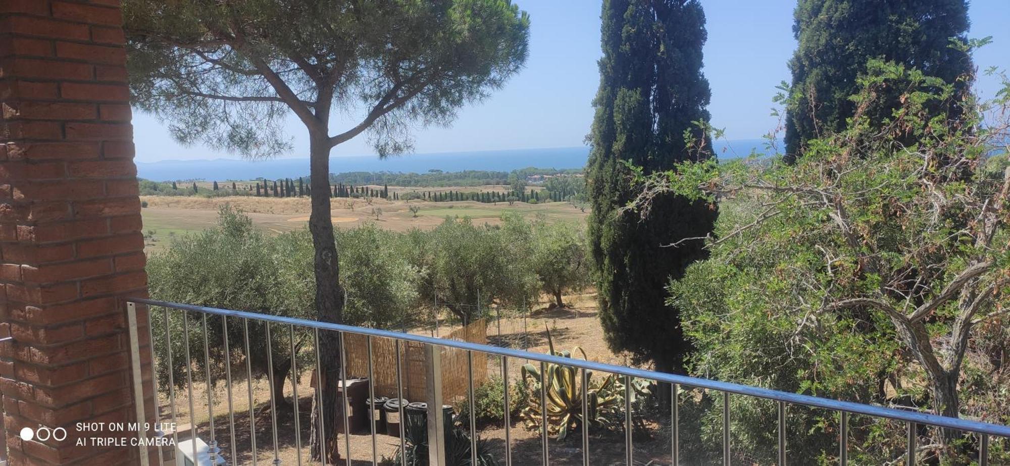 Agriturismo Poggio All'Olivo 폴로니카 객실 사진