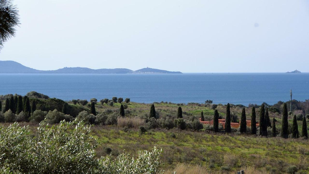 Agriturismo Poggio All'Olivo 폴로니카 외부 사진