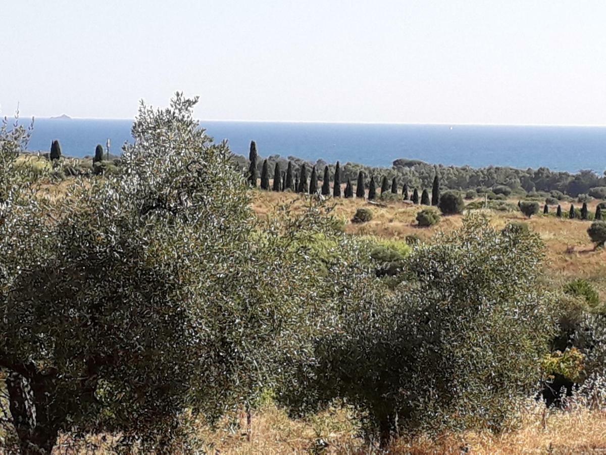 Agriturismo Poggio All'Olivo 폴로니카 외부 사진